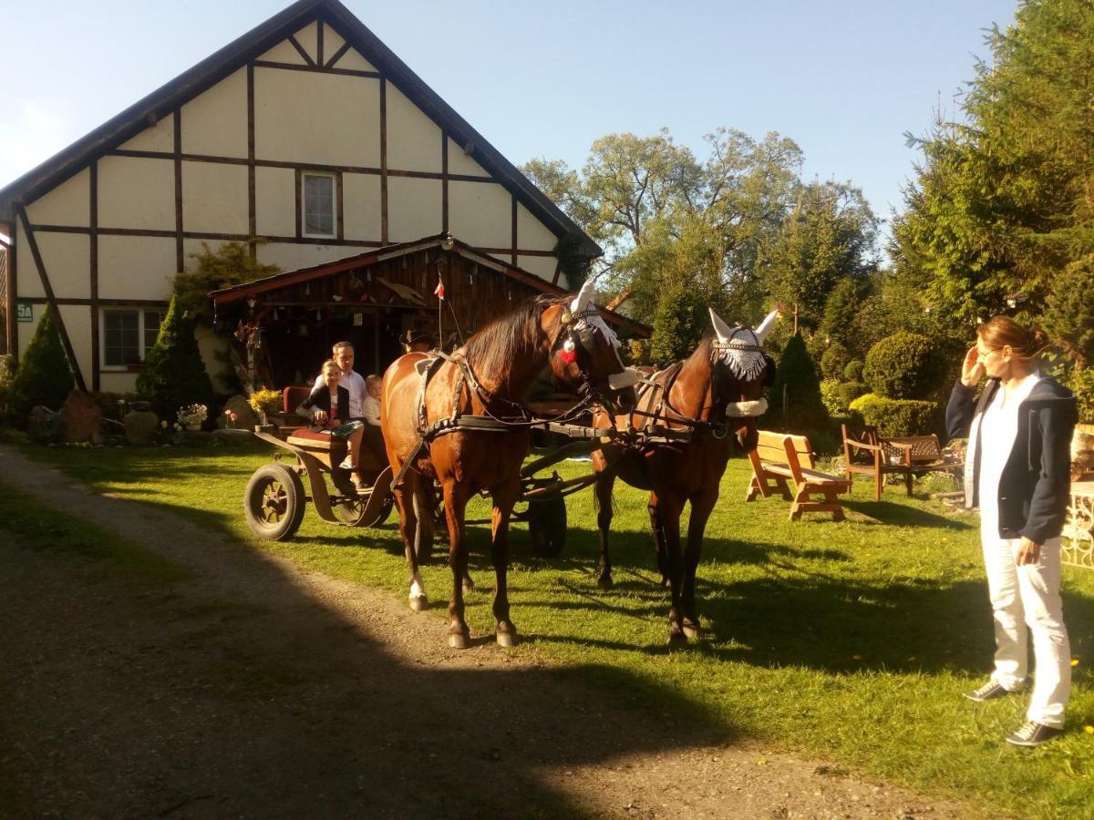Pensjonat Kalina Komorze Bagian luar foto
